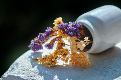 Dried flowers in the tiny white ceramic bottle