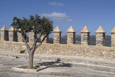 Trees by historic building against sky