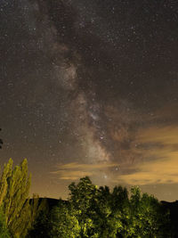 Low angle view of trees against sky at night