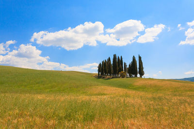 Panoramic view of field against sky