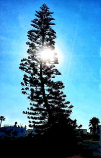 Low angle view of silhouette tree against blue sky