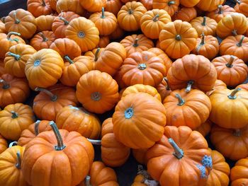 Full frame shot of ripe pumpkins at farmers market