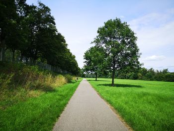 Road amidst trees on field against sky