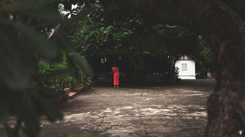 Rear view of woman standing by tree