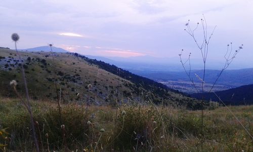 Scenic view of landscape against cloudy sky