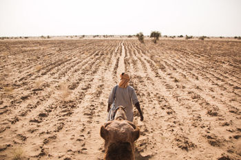 Rear view of man with camel walking on land