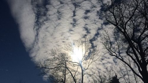 Low angle view of bare trees against sky