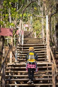Rear view of mid adult woman with backpack moving up on steps in forest