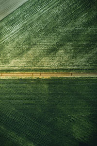 Full frame shot of rice field