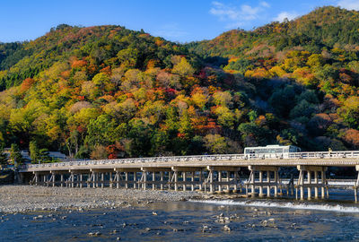 Scenic view of lake by trees during autumn