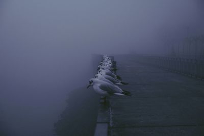 Snow covered landscape against sky during foggy weather