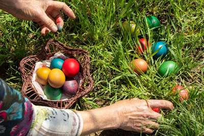 Hand holding eggs