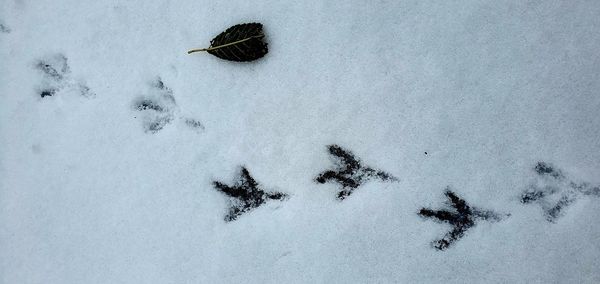 High angle view of footprints on snow covered land