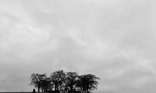 Low angle view of palm trees against sky