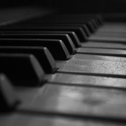 Close-up of piano keys