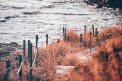 High angle view of wooden posts on beach