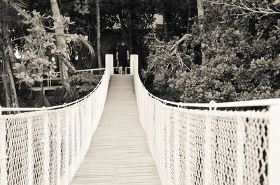 Narrow walkway along trees