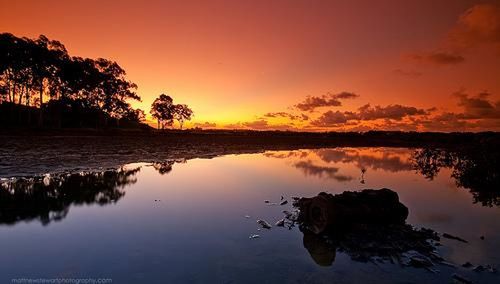 reflection