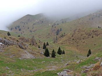 Scenic view of mountains in foggy weather