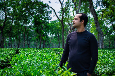 Man standing at tea garden closeup shot with blurred background at day from flat angle