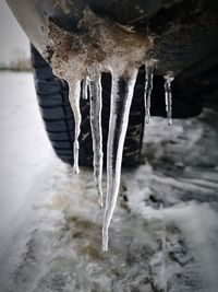 Close-up of icicles