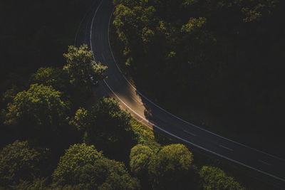 Scenic view of forest against sky