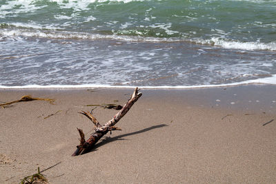 Close-up of sand on beach