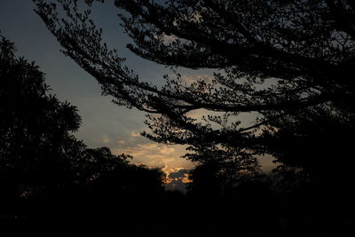 Low angle view of silhouette trees against sky at sunset