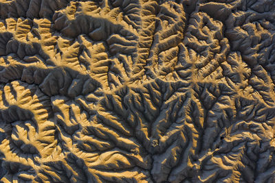 Bardenas reales. desierto de bardenas reales, desert of bardenas reales navarra spain this particular rock formation