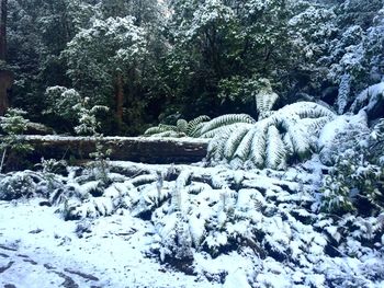 Scenic view of snow on rock during winter