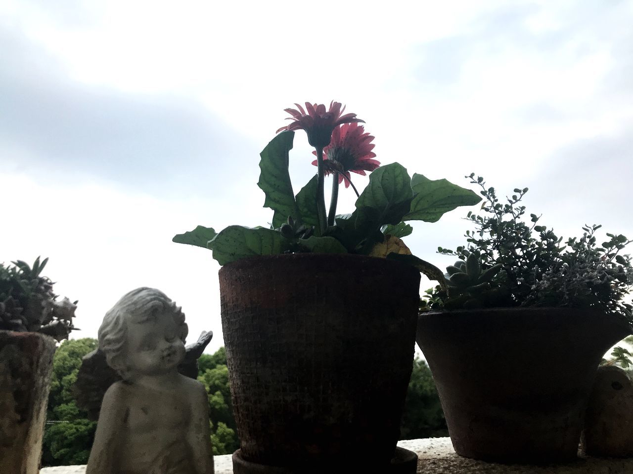 plant, art and craft, representation, sky, sculpture, human representation, creativity, nature, growth, statue, cloud - sky, no people, potted plant, day, tree, flower, male likeness, flowering plant, outdoors, beauty in nature, flower pot