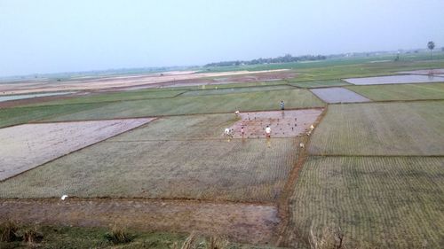 High angle view of agricultural field against sky