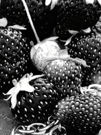 Close-up of fruits