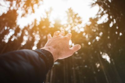 Close-up of man hand