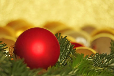 Close-up of christmas tree