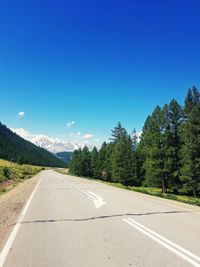 Empty road along trees and plants against blue sky