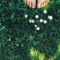 Low section of woman standing on grass