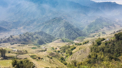 High angle view of land