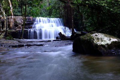 Scenic view of waterfall in forest