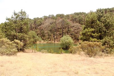 Scenic view of landscape