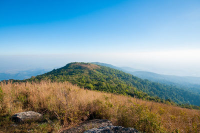 Scenic view of field against clear blue sky