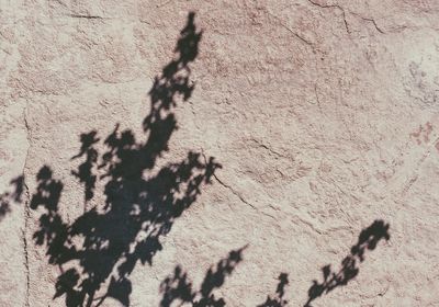 Shadow on sand