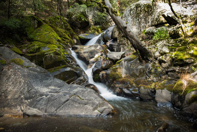 Stream flowing through rocks in forest