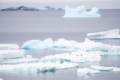 Scenic view of ice floating on sea