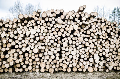 Pile of logs