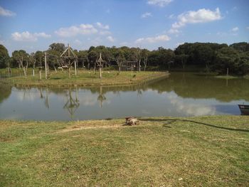 Scenic view of lake on field against sky