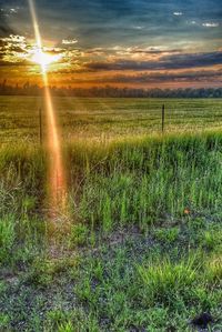 Scenic view of grassy field against sky at sunset