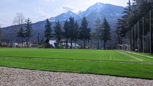 Scenic view of field against sky