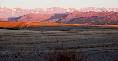 Scenic view of desert against sky