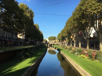 Canal amidst trees against sky in city